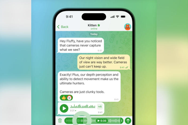  Источник изображений: telegram.org 
